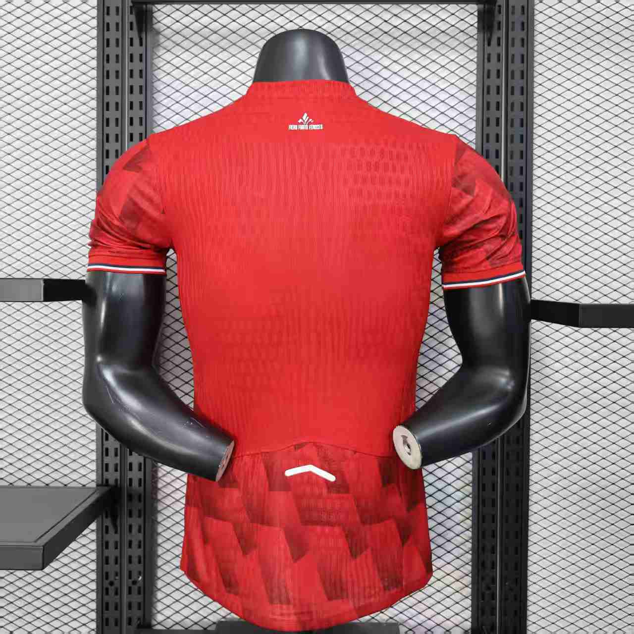 Maillot de foot Lyon 25/26 lile